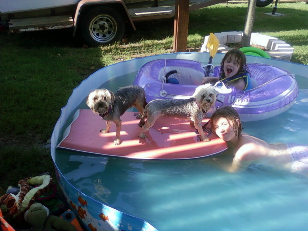 Puppy and Pool.