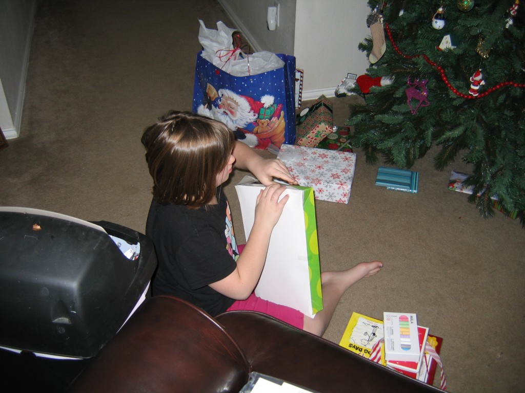 Christmas 2009 015