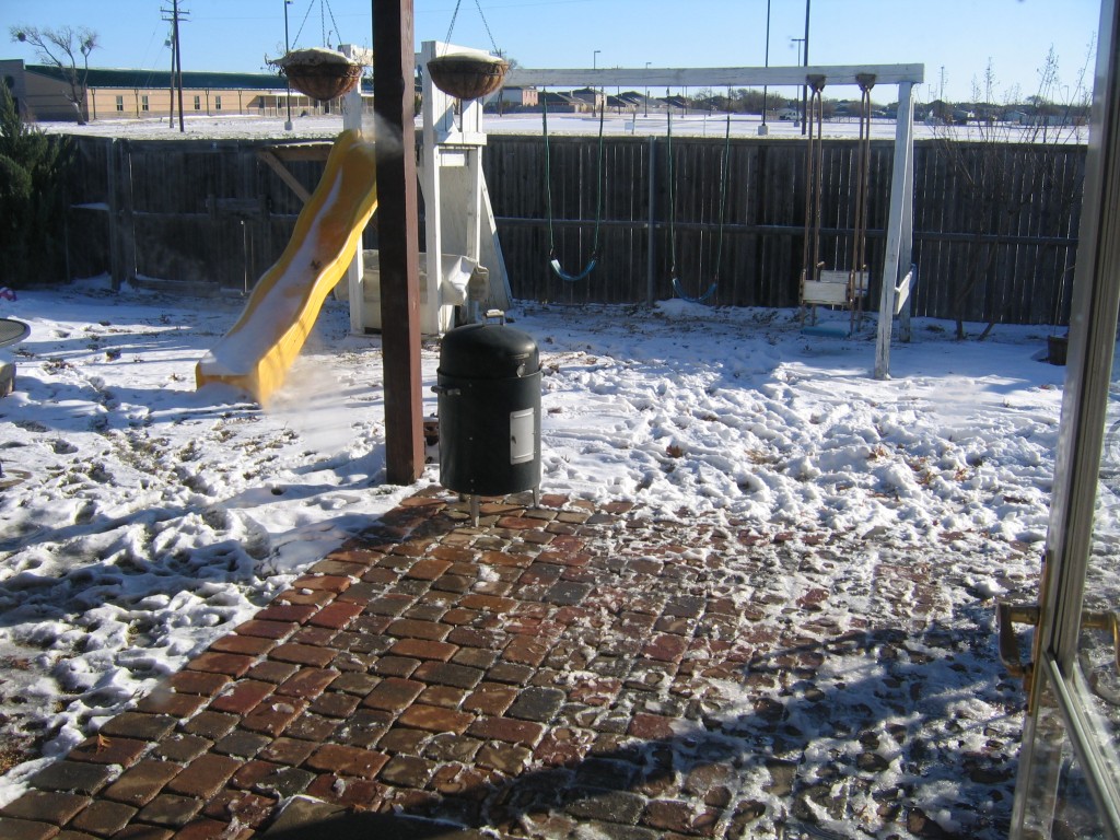 Xmas Day, Backyard Snow.