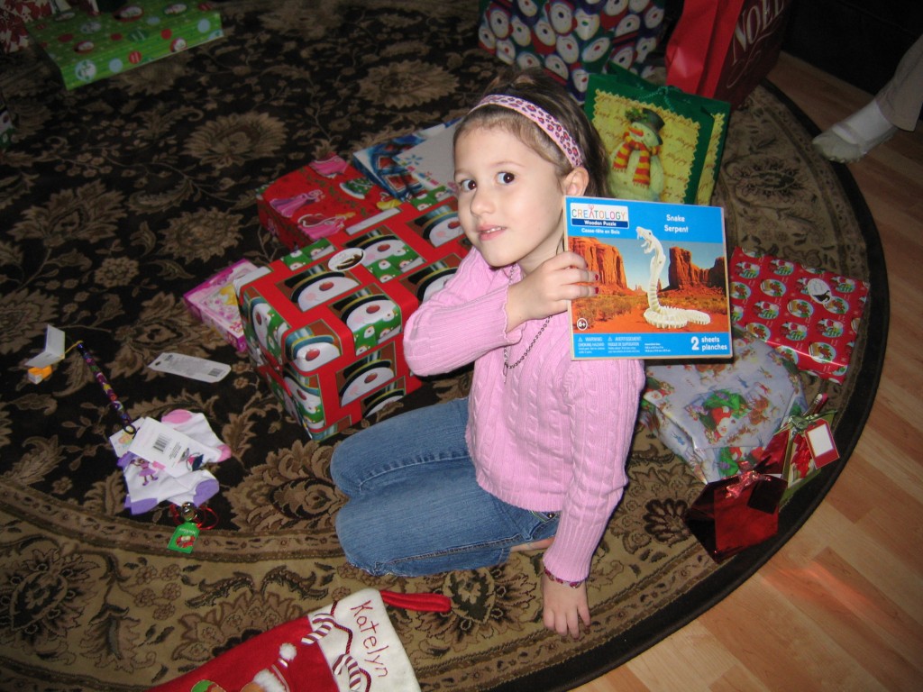 Christmas 2009 043